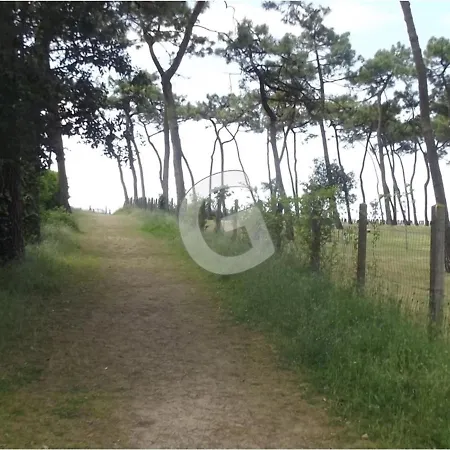 Maison De Pour 6 A Sur - Fr-1-357-301 Holiday home